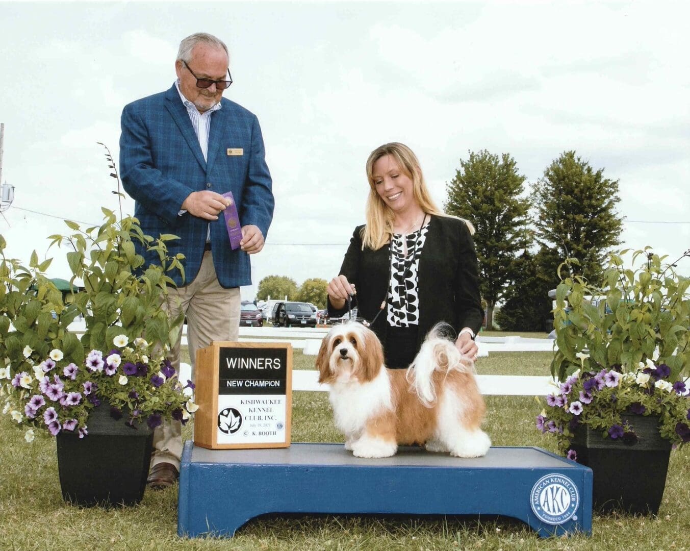A man and woman standing next to a AKC champion Havanese at a dog show.