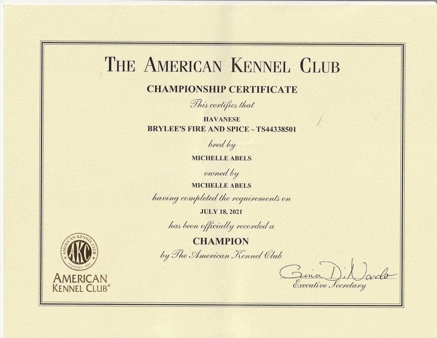 Brylee's Angels Havanese presents the prestigious American Kennel Club Championship Certificate for our AKC champions. Our Havanese show dogs, bred with love in Illinois, possess exceptional lineage and