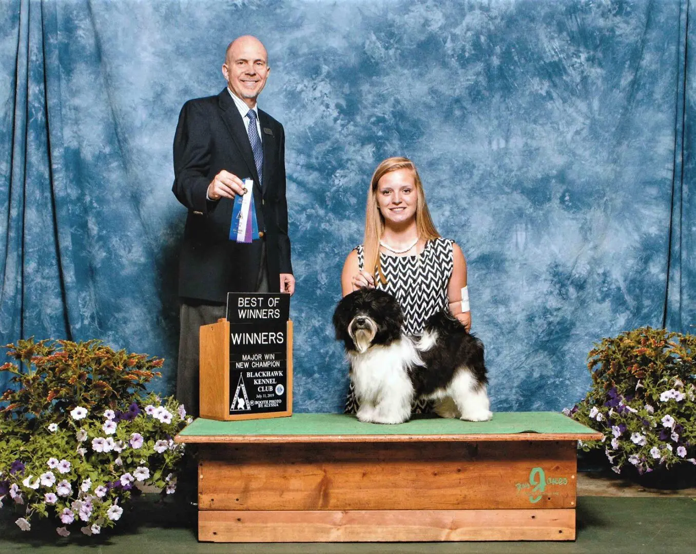 A couple proudly posing with their Havanese dog, an AKC champion, at a dog show in Illinois.