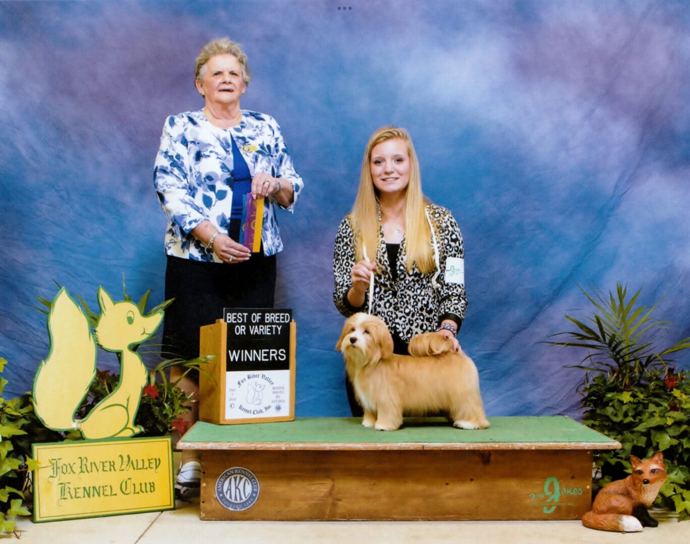 Two women posing with their Havanese show dogs at a dog show in Chicago, IL.