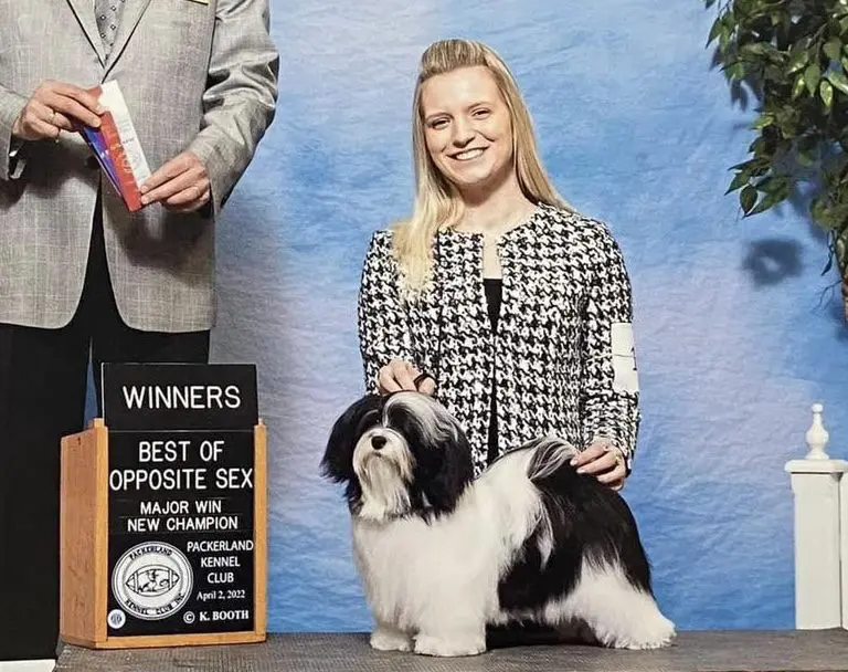 A woman is standing next to a shih tzu and Havanese breeder.