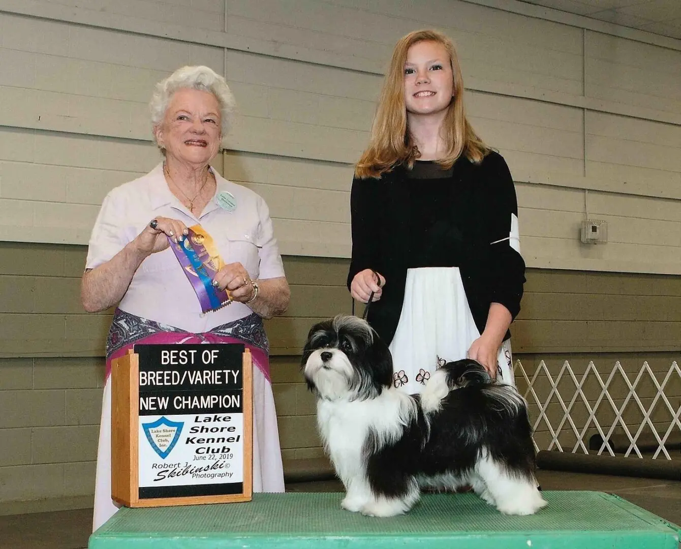 At a dog show in Chicago, a woman proudly stands next to her Havanese show dog.