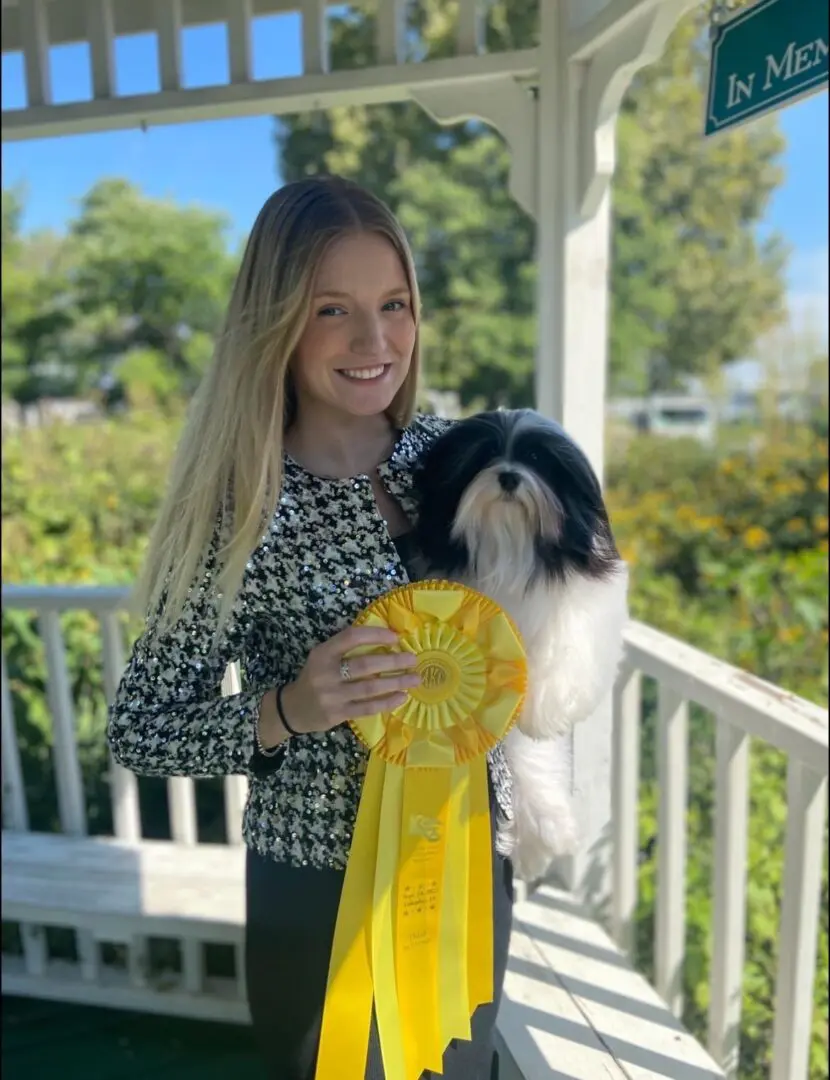 A woman holding a Havanese dog with a yellow ribbon in Chicago, IL.