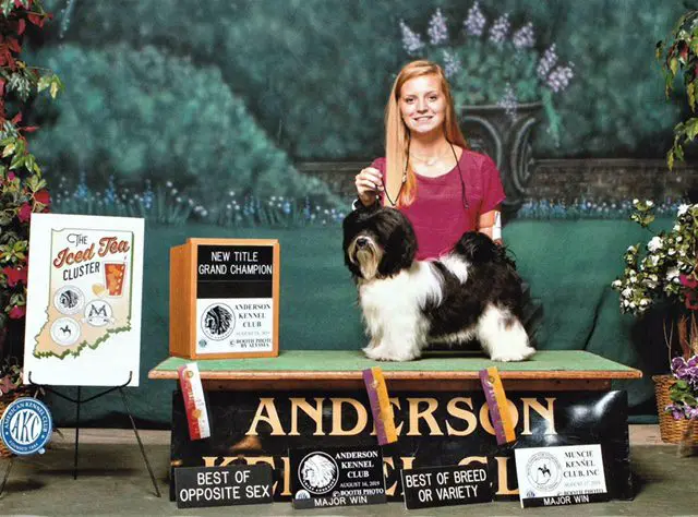 Anderson is a reputable breeder in Chicago, IL specializing in Havanese puppies. They are known for producing top-quality show dogs and have AKC Champions in their breeding program. With a focus on