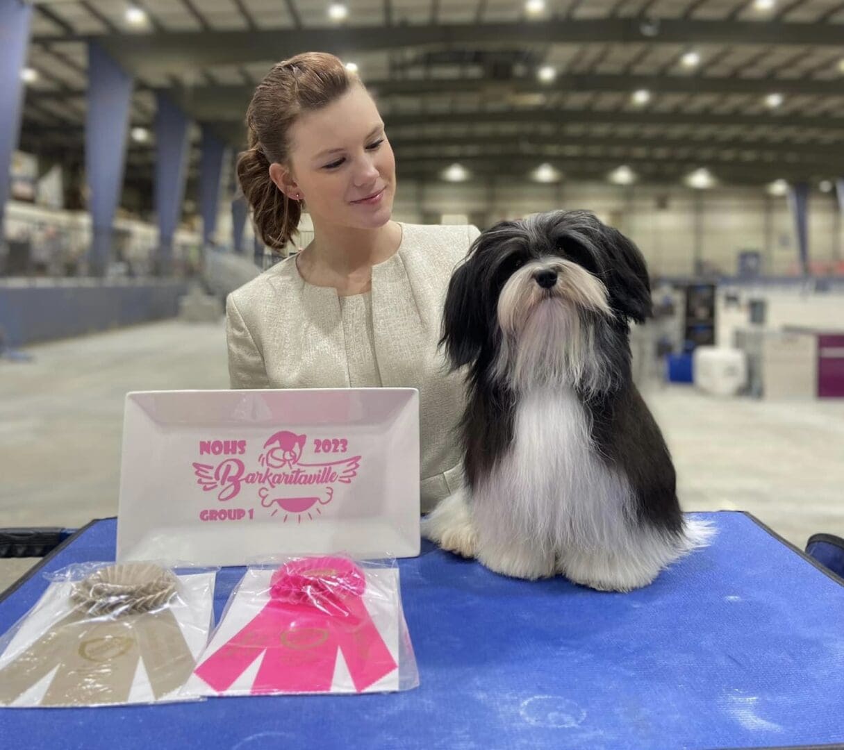 A woman is standing next to a Havanese at a dog show.