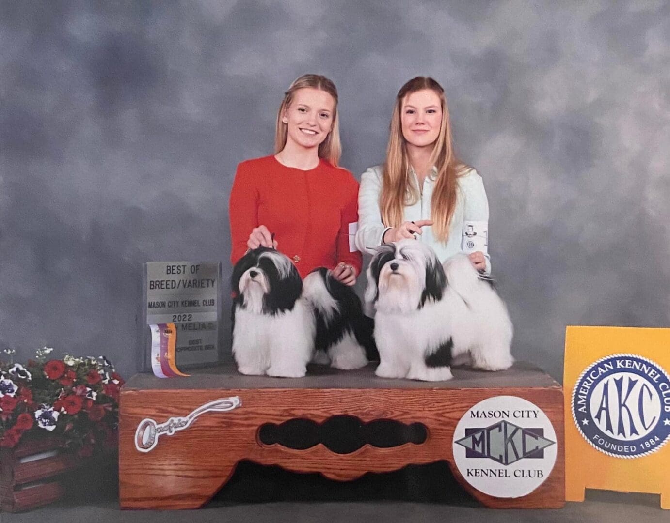 Two women posing with two Havanese show dogs.