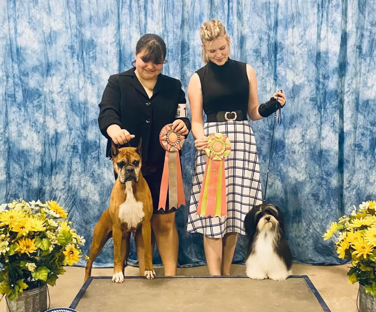Two women posing with their AKC Havanese show dogs at a dog show.