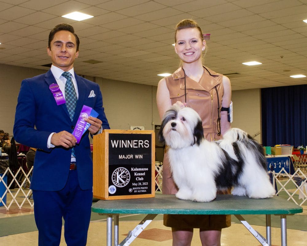 Two people standing next to a Havanese dog at a dog show.