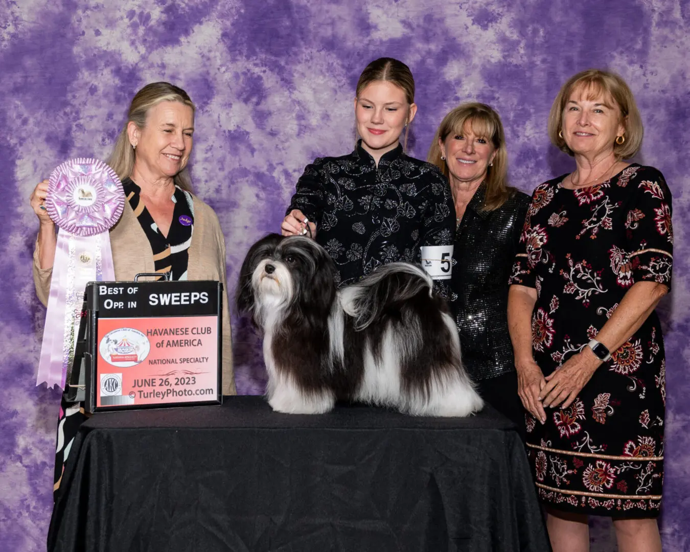 A group of people posing with their Havanese show dogs at a dog show in Chicago, IL.