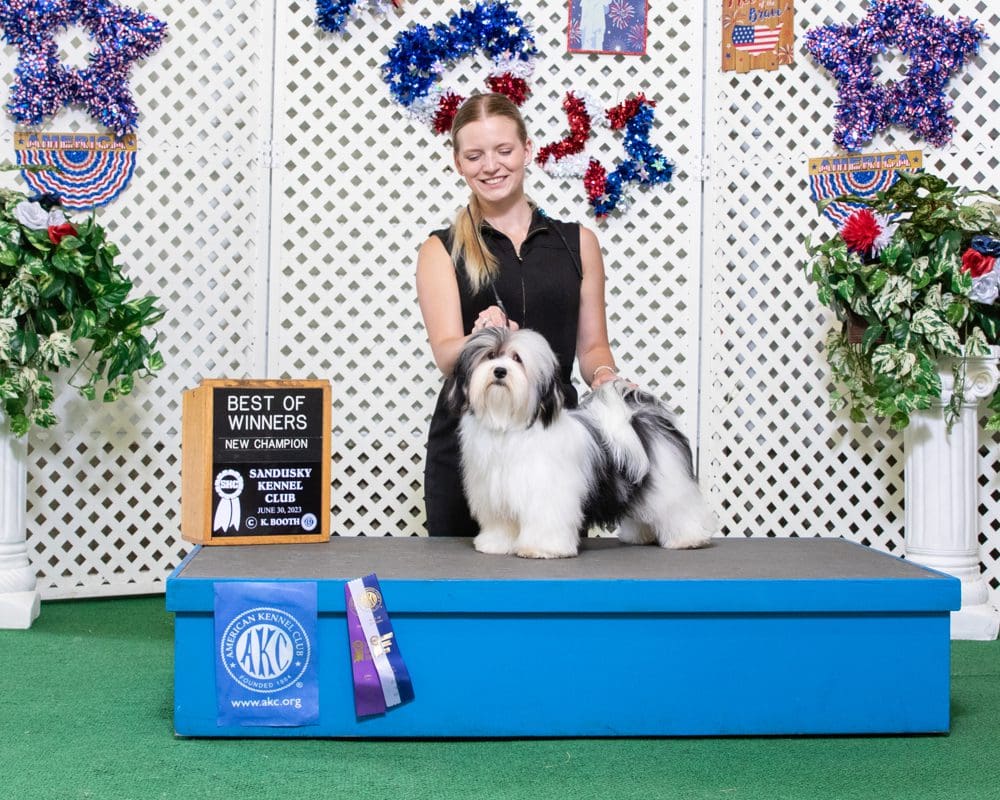 A woman standing next to a shih tzu in front of a blue background holding AKC Champions.