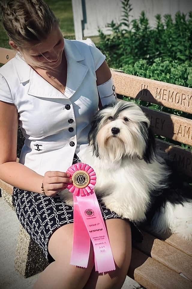 A woman sitting on a bench with a Havanese dog holding a ribbon.