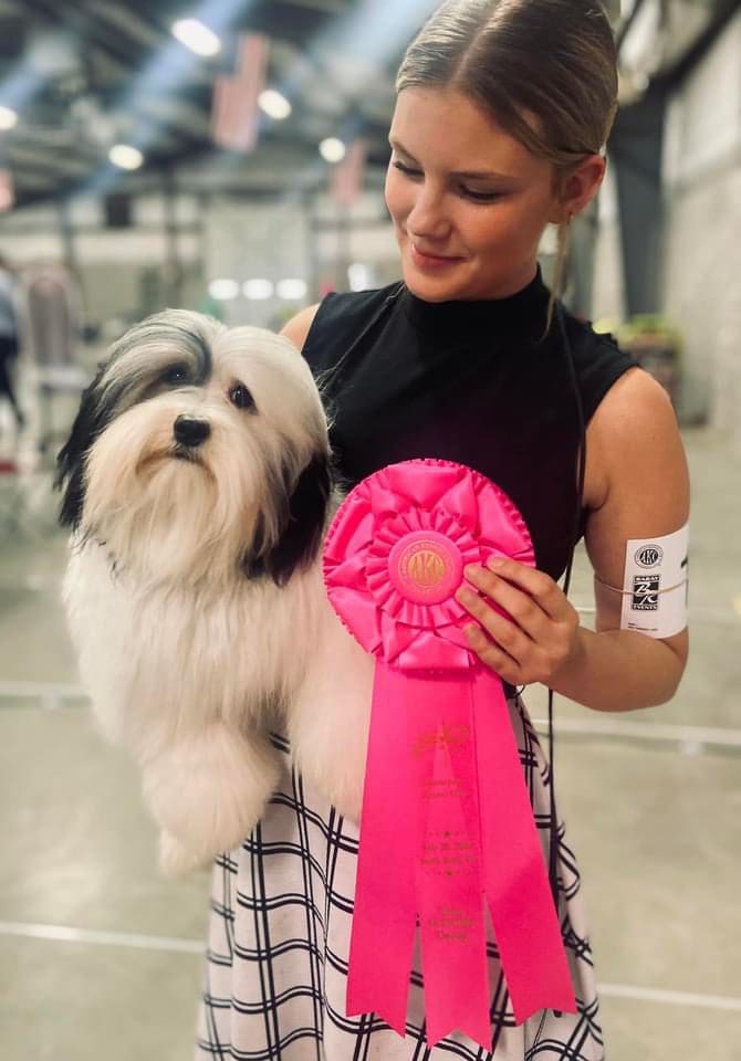 A woman holding a Havanese puppy with a pink ribbon.