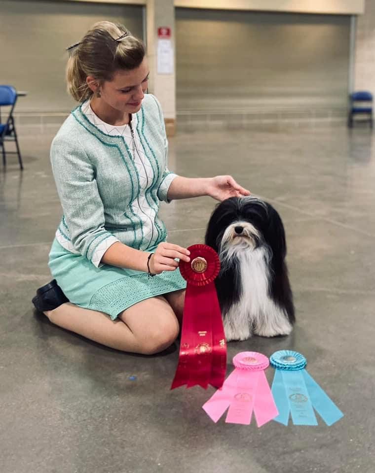 A woman kneeling down next to a Havanese puppy adorned with ribbons.