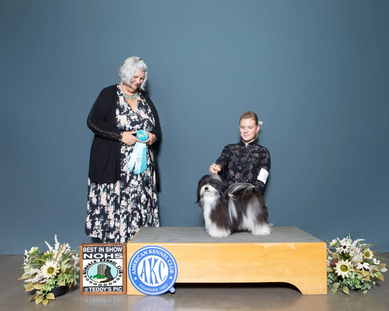 A woman is standing next to a Havanese dog on a podium, showcasing their AKC Championship.
