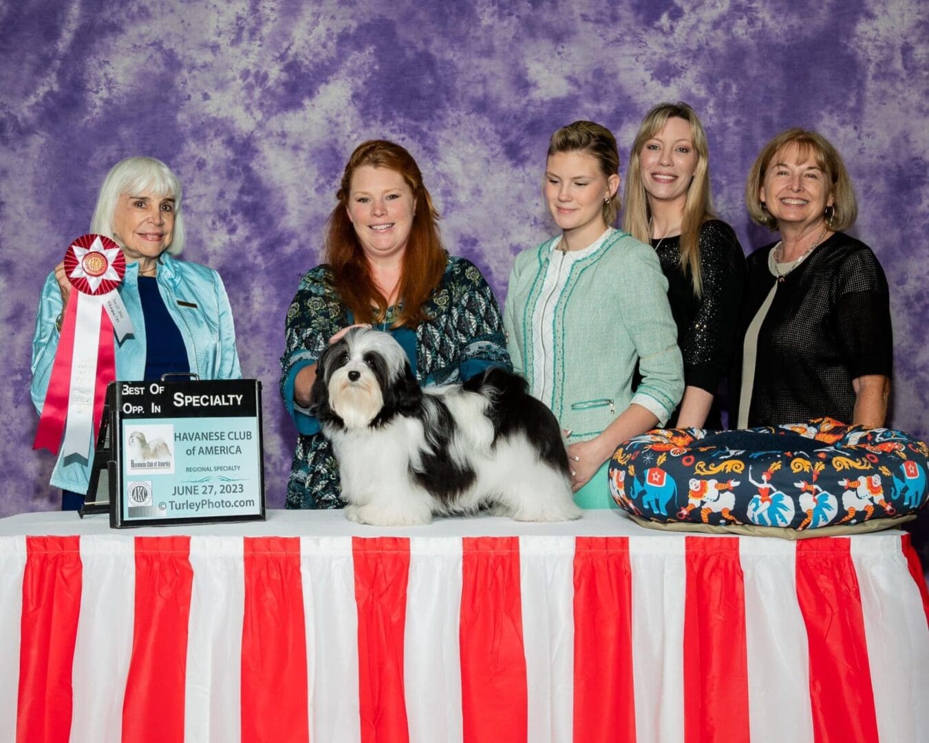 A group of women standing next to a dog with a ribbon, showcasing Brylee's Angels Havanese, an AKC Champion Havanese breeder based in Chicago, Illinois (IL