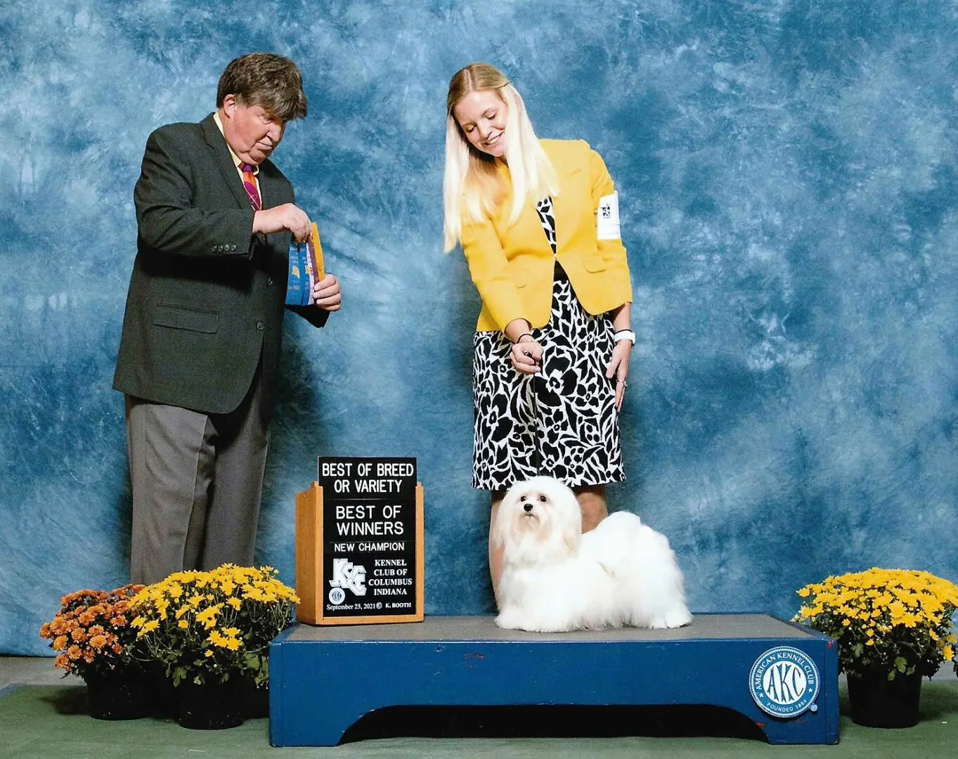 A man and woman standing next to a Havanese puppy.