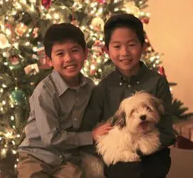 Two boys posing with a dog in front of a christmas tree.