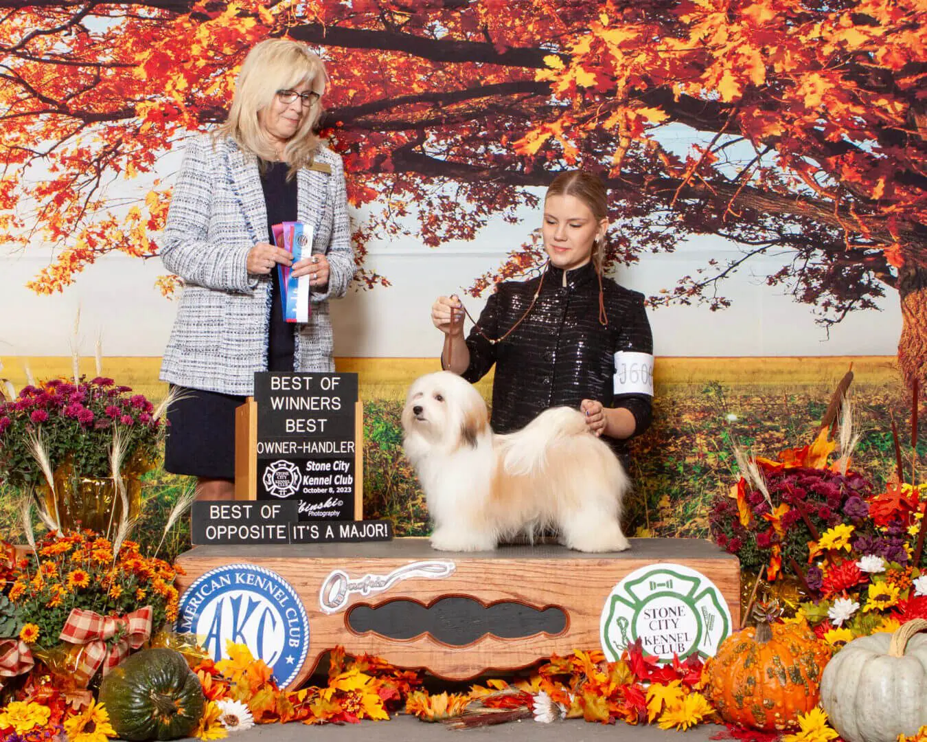 A woman is standing next to a white dog in front of a display of fall decorations. She is showcasing her Havanesand Havanese puppies.