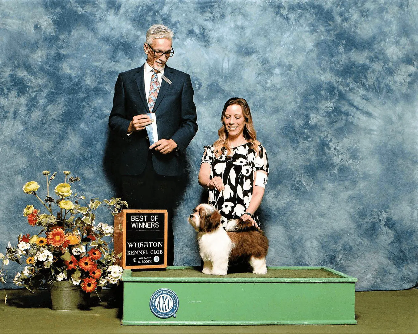 A man and woman posing with a Havanese dog.